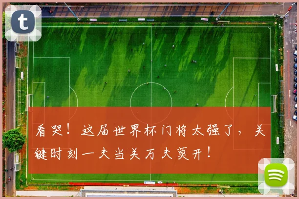 看哭！这届世界杯门将太强了，关键时刻一夫当关万夫莫开！