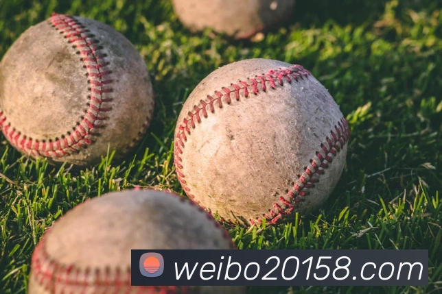 企业概况